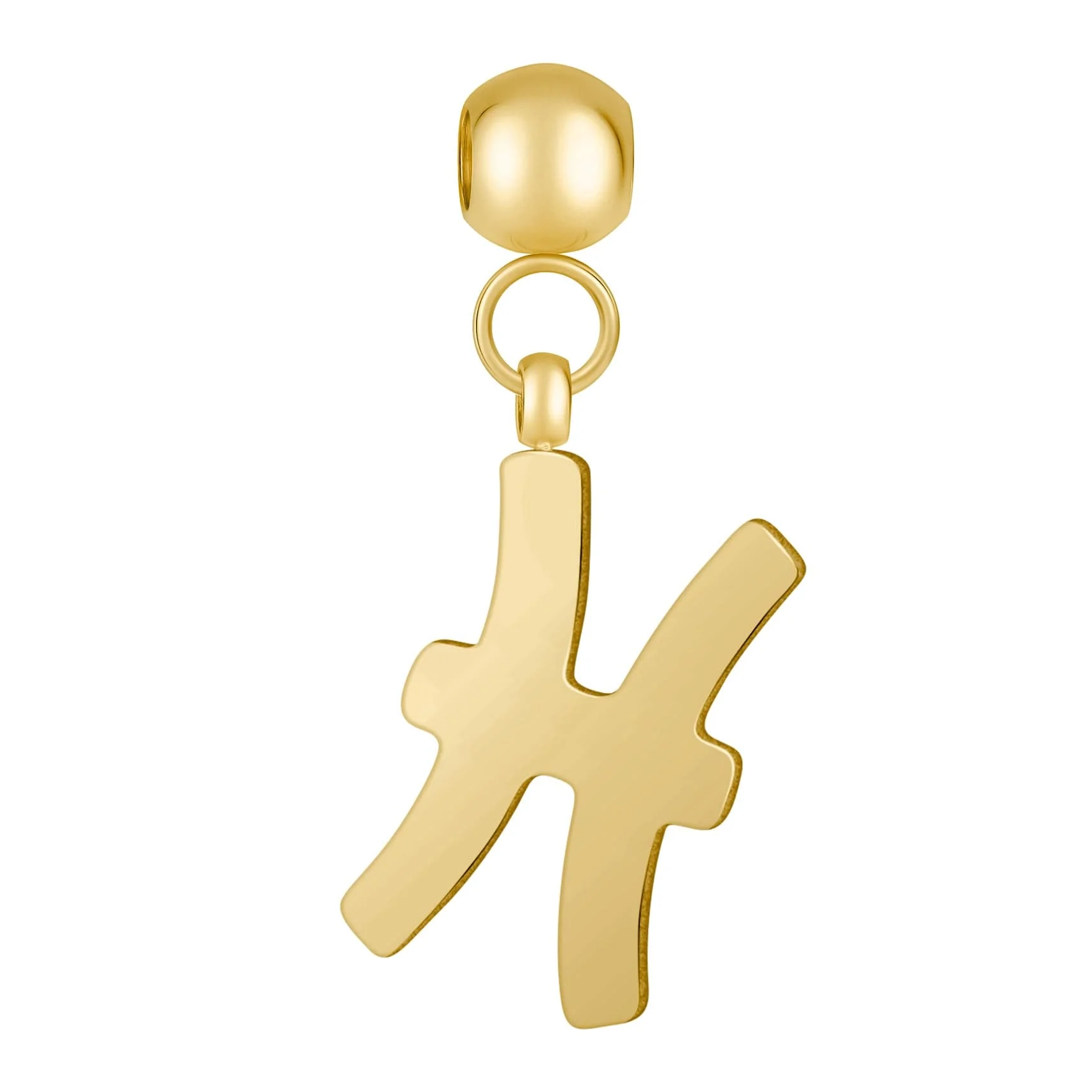 Pisces Charm